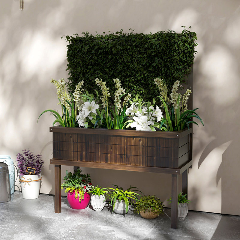 Raised Garden Bed with Trellis