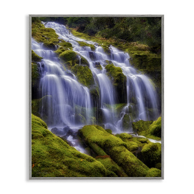Upper Proxy Falls Framed Giclee, design by Dennis Frates