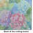 Hydrangeas in Watercolor Glass Cutting Board Large