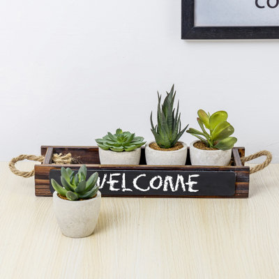 Ensemble de 4 plantes succulentes artificielles 5,9 po dans un pot à fleurs
