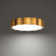 Vaughan Dimmable LED Wall & Ceiling Flush Mount