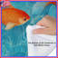 Édredon Goldfish-123063119