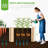 Wooden Raised Garden Bed Planter Box for Vegetables, Flowers, and Herbs