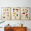 Mushroom Species VI - Impression sur mesure encadrée de qualité supérieure - 3 pièces-137576302-137576298