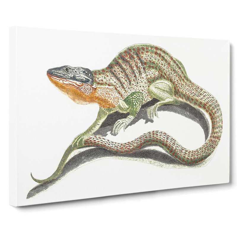Lizard by Johan Teyler - Wrapped Canvas, 40cm H x 60cm W x 3cm D