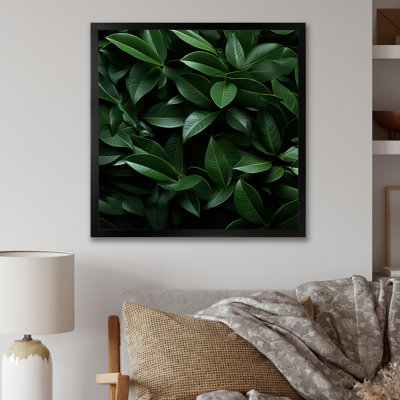 «Tropical Robusta Palm Rhythms I» sur toile
