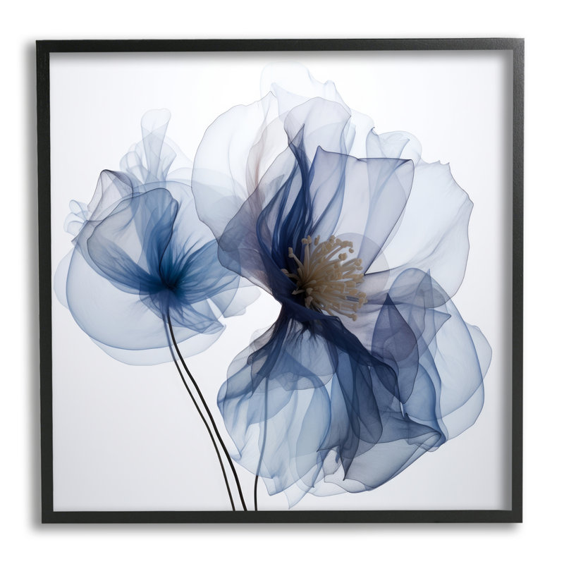 Az-480-fleurs bleues encadrées de rayons X, Giclée encadrée noir minuit, H 17 po x l 17 po x P 1,5 po