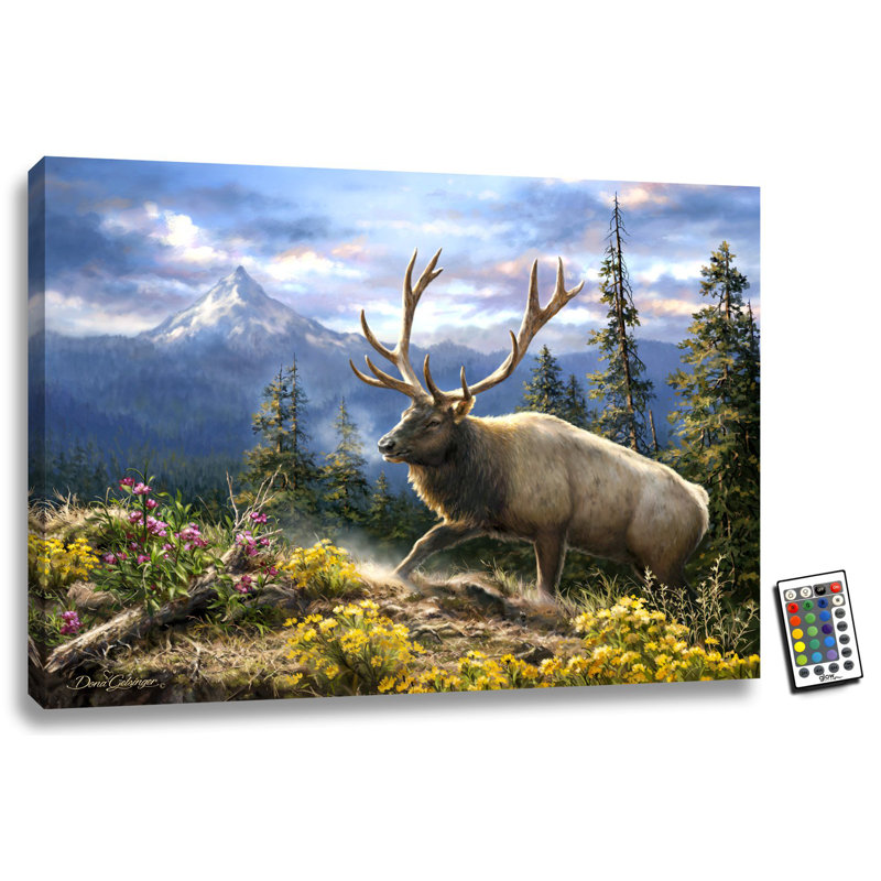 Siskiyou Bluff 18" x 24" LED Illuminated Canvas Wall Art