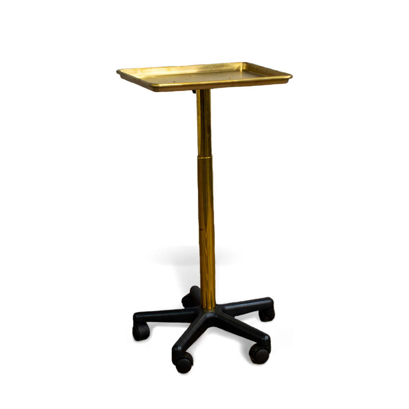 21'' H x 6.4'' W Utility Cart with Wheels, Gold