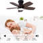 Ventilateur de plafond standard à DEL 5 pales 32 "avec télécommande et ensemble d'éclairage pour le salon