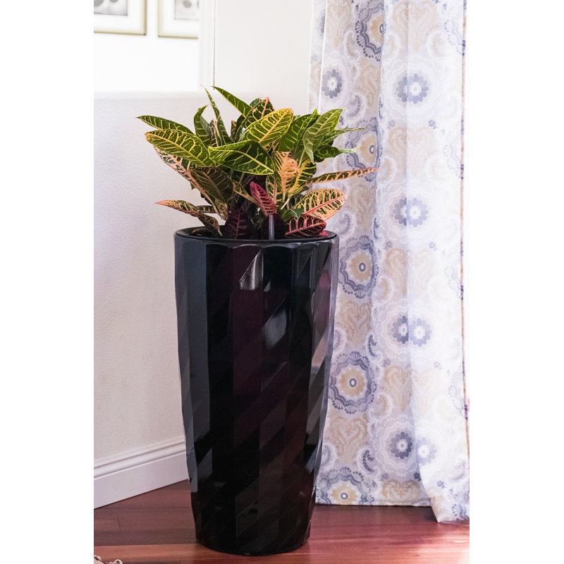 Self-Watering Pot Planter