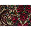 Beauté complexe: tapis traditionnel 5 x 3