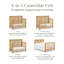 Eloise 4-in-1 Convertible Crib-1858350595