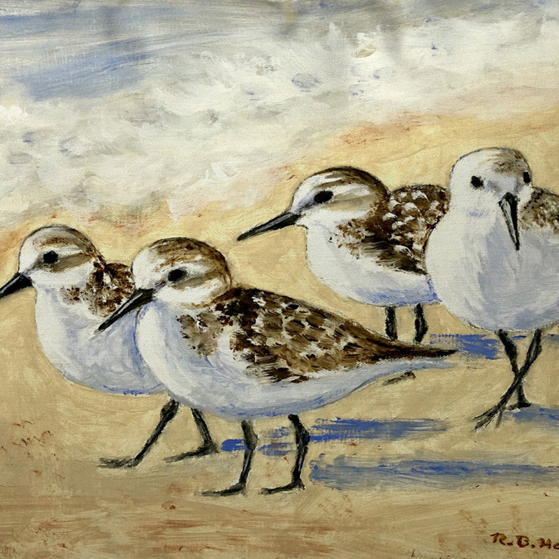 Coussin intérieur / extérieur Dick's Sanderlings, 12 po x 12 po