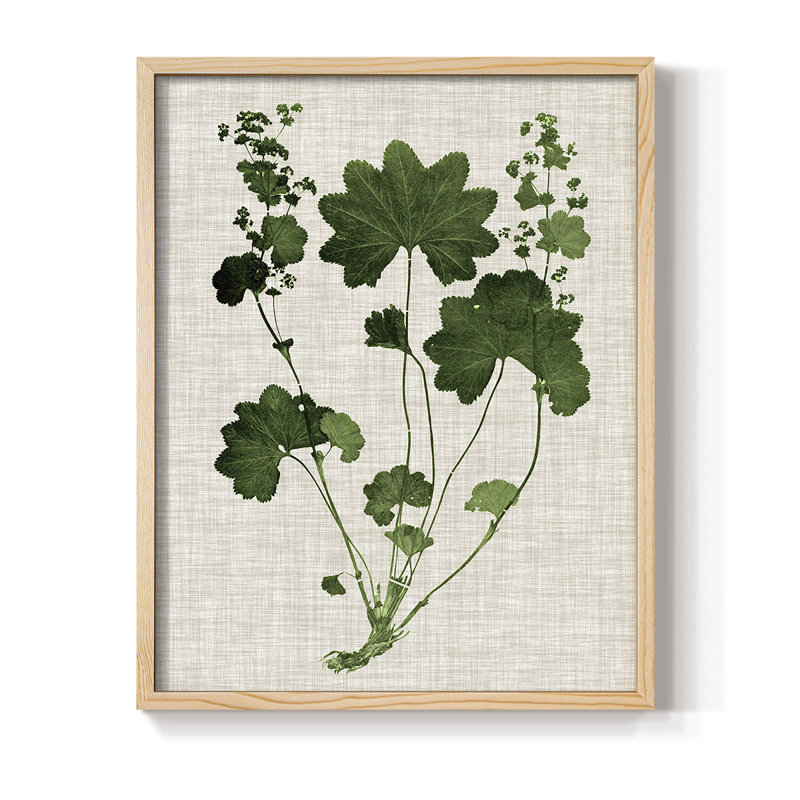 «Forest Foliage on Linen», reproduction encadrée en bois massif, H 15 po x l 12 po