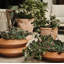 Rihanna Stacking Planter 15.5"x 9"
