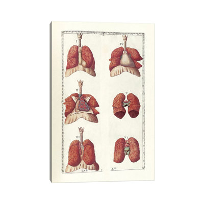 «The Science of Human Anatomy II» par National Library of Medecine, impression sur toile tendue