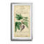 Linnaean Botany VI - Peinture sur toile encadrée-1715690448-1715690447