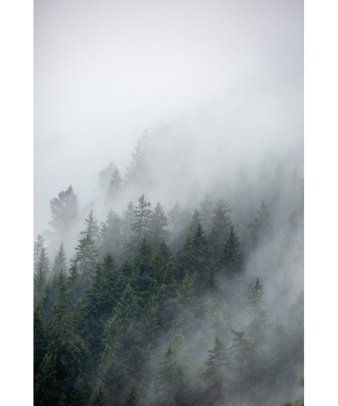 Wrapped Canvas Print, 81.28 cm H x 121.92 cm W