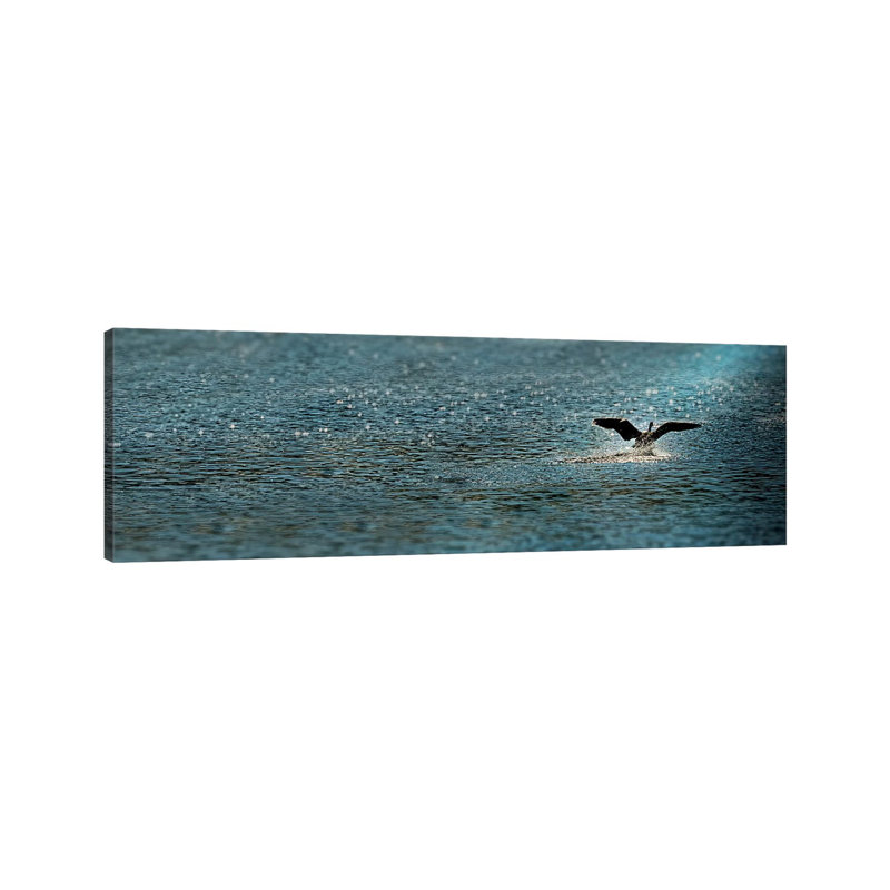 Bird Taking Off Over Water by Panoramic Images - Wrapped Canvas Panoramic Print, 30.48 cm H x 91.44 cm W x 1.91 cm D