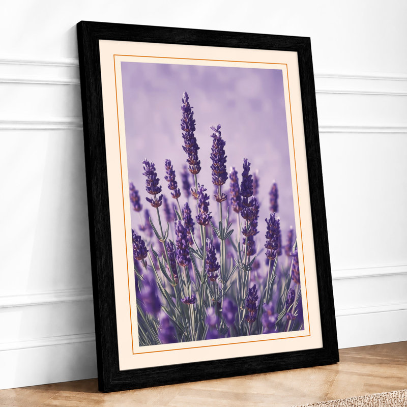 Lavender Study Botanical - Print, A2 - 59.4 x 42.0 cm, Black