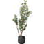Faux Eucalyptus Tree Plant-1203865729
