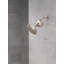 Filtre de douche standard avec filtre Clarifi-103146696