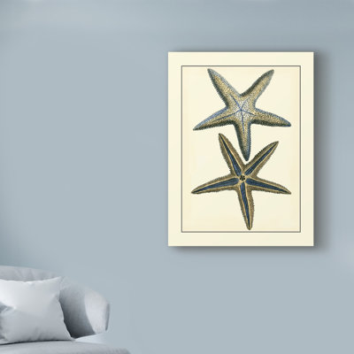 « antique blue starfish », reproduction d’impression sur toile tendue