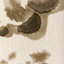 Rorschach Wp - Natural-14812360