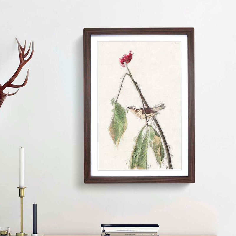 Louisiana Water Thrush by John Audubon - Picture Frame Painting Print, 48cm H x 36cm W x 2cm D, Walnut Framed