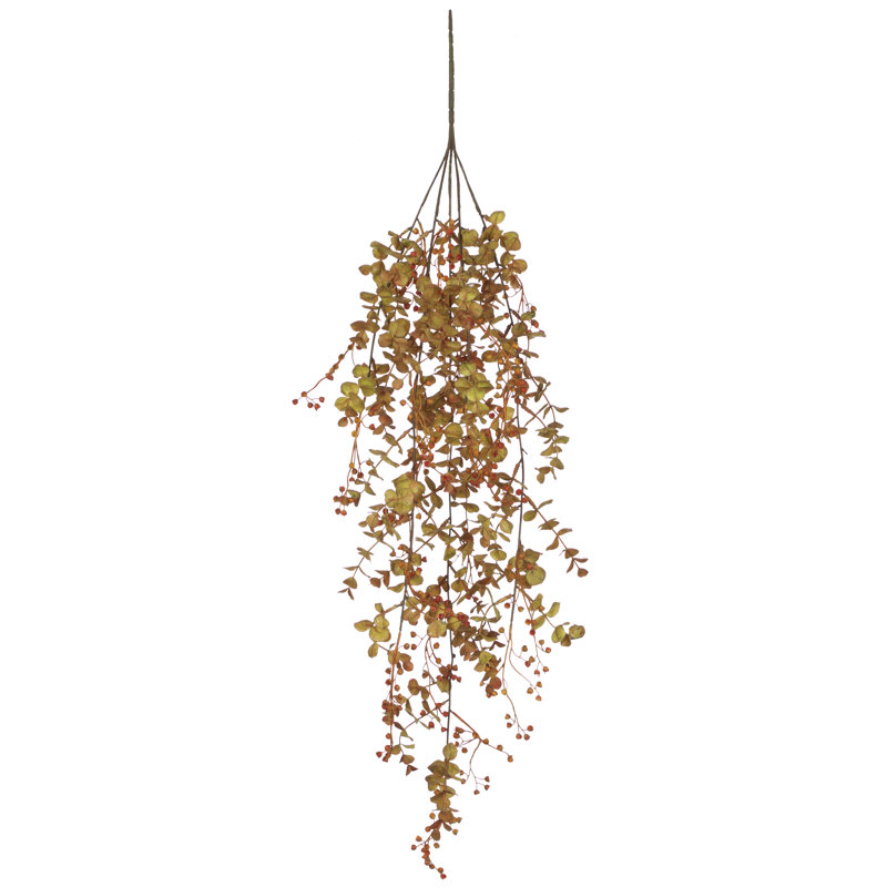 Ornement Caroline Eucalyptus