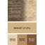 Surface beige contemporaine tapis-888197995