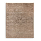 Morelli Oriental Area Rug in Alani Natural