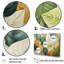 Feuilles vertes et jaunes Tranquility II - feuilles, art mural-38981237-38981236