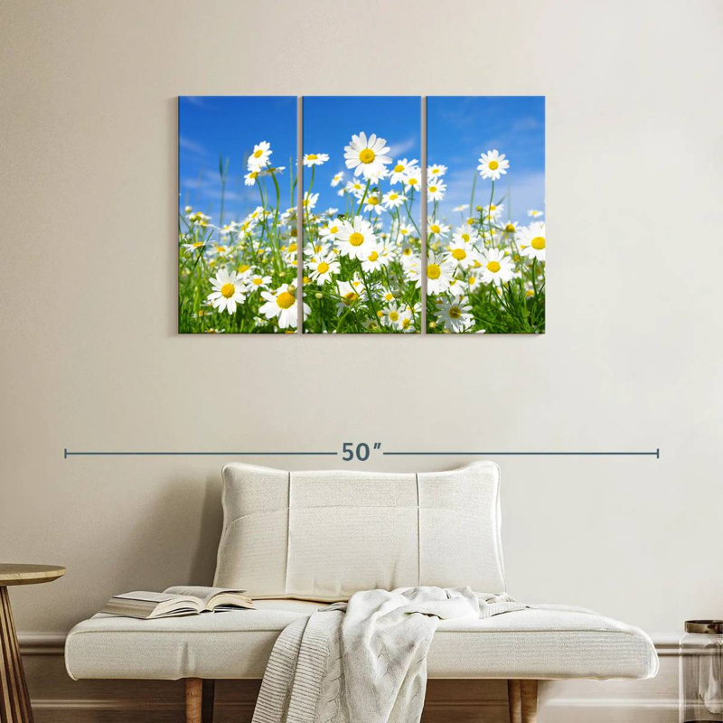 Alvord Daisies On A Sunny Day, H 24 po x l 38 po
