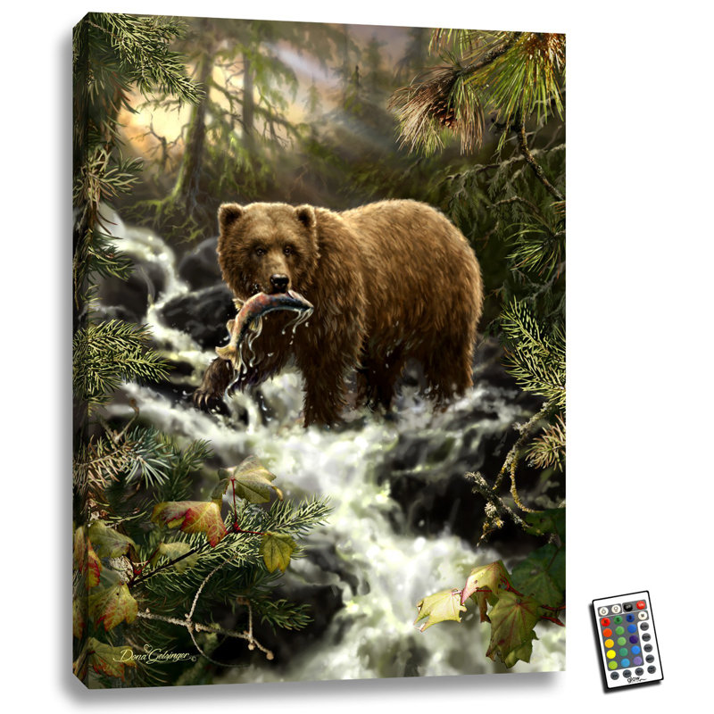 Grizzly Gorge 18 x 24 entièrement imprimé à changement de couleur à DEL