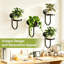 1 Tier Plant Stand Set of 4