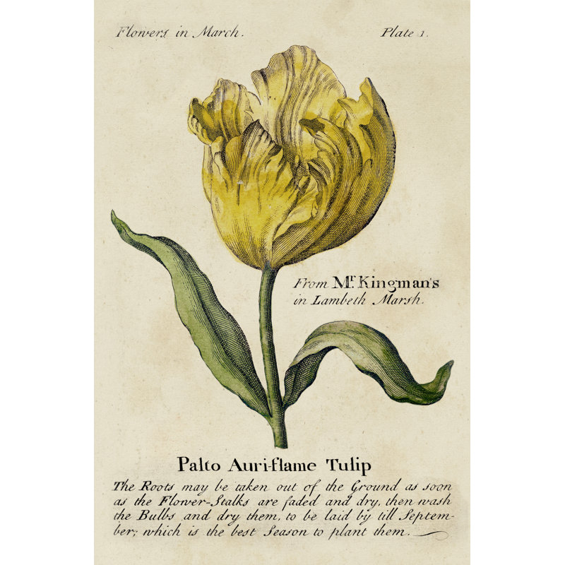 Gardeners Guide II - Wrapped Canvas Print, 46cm H x 30cm W 