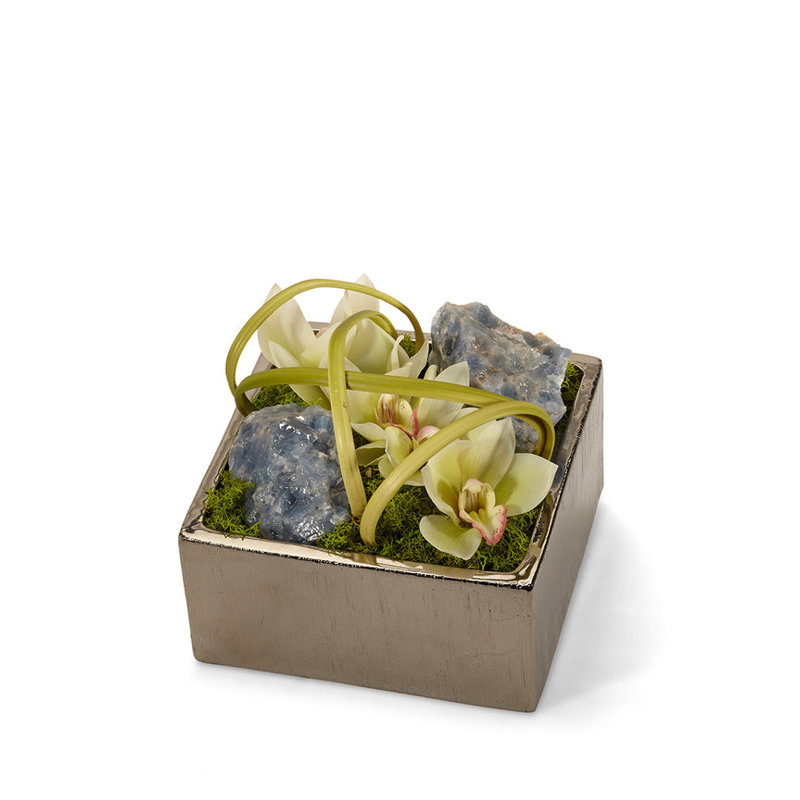 Orchids Floral Arrangement in Planter