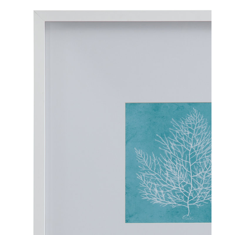Corail blanc sur bleu, ensemble de 4 reproductions encadrées