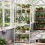 Iron 5 Tier Plant Stand