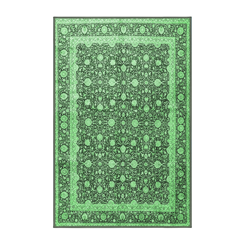 Maesynn Washable Oriental Indoor Rug, Runner 2' x 5'