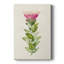 Pretty Pink Botanicals IV - Gallery Cavas-1392063092