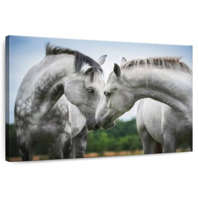 Hardie Horse Love