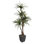 72'' Faux Dracaena Tree in Metal Planter