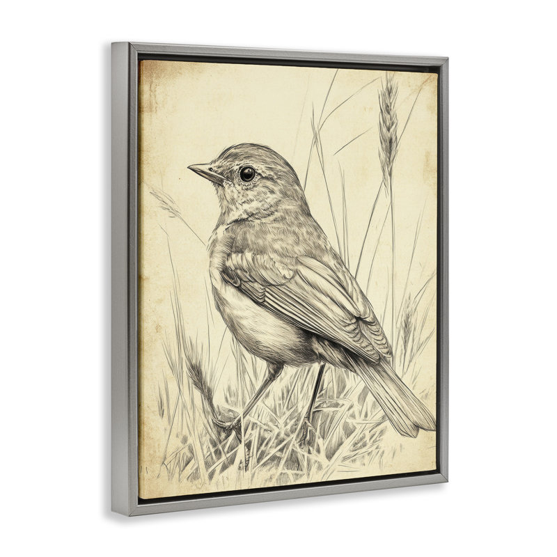 Cadre flottant rétro avec petit oiseau, design par Petal Prints Design, H 21 po x l 17 po, Cadre flottant gris lustré
