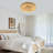 19.68" Flush Mount Ceiling Light Three-Color Temperature Without Remote Control