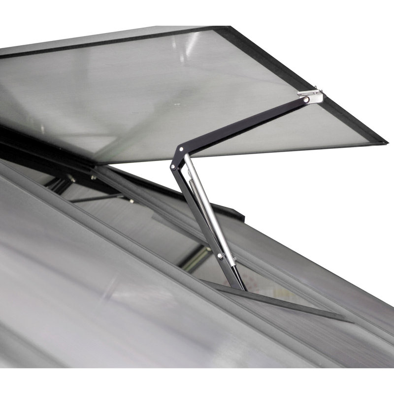 4-Ft x 6-Ft Clear Polycarbonate Walk-In Greenhouse with Aluminum Frame