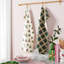 Loop And Dot Plaid Kitchen Towel Set