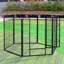 Rolf Panel Metal Exercise Pen With Door-1541105419